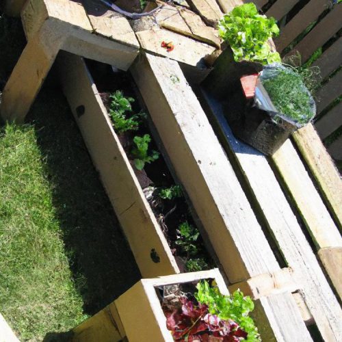 Zrób to sam: Jak zbudować warzywniak z palety w kilka prostych kroków?